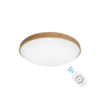 雅緻和風遙控吸頂燈