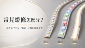 常見燈條怎麼分