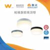 玻璃蛋糕吸頂燈（16W）｜Wlighting 慶達照明
